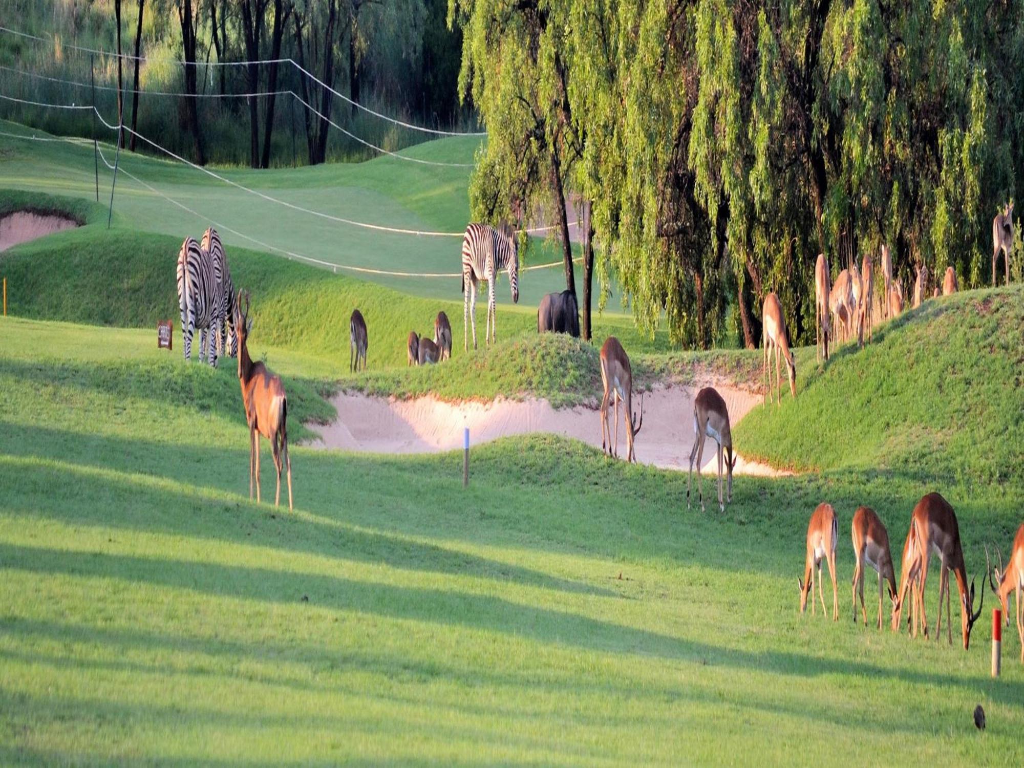 Elements Private Golf Reserve Bela-Bela Exterior foto